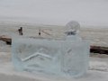 L homme au bain de glace de Laetitia de Bazelaire